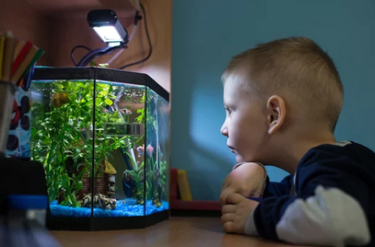 Want to Spark Curiosity in Your Child?
