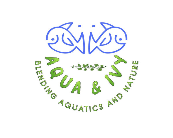 Aqua and Ivy